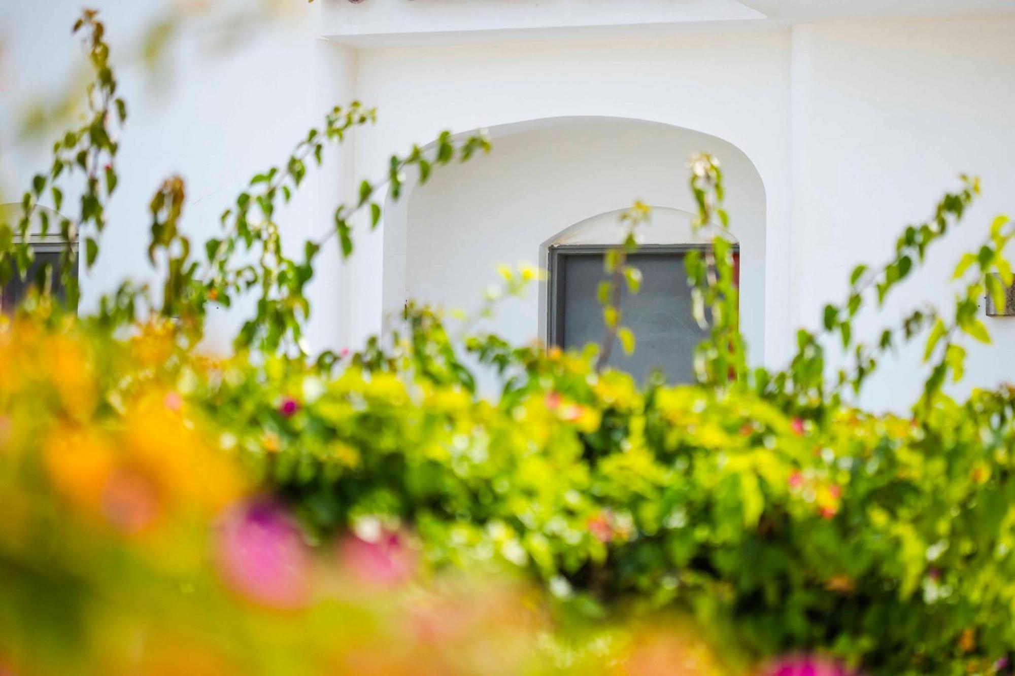 El Gouna Elite Worldwide Sea & Garden Residences - Hurghada, Egypt Apartamento Hurghada